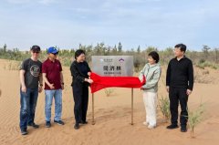 同济团队赴阿拉善马兰湖共建生态管理新